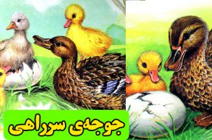 داستان-کودکانه-جوجه‌ی-سرراهی-(1)-