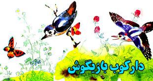 داستان کودکانه شاکوتی دارکوب بازیگوش (18)