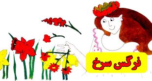 داستان کودکانه: گل نرگسِ سرخ || قصه شب برای کودکان 1