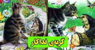 داستان-کودکانه-گربه‌ی-فداکار-(4)-