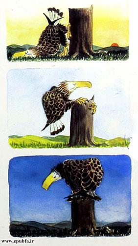 داستان آموزنده کودکان: رگال، عقابی که از بلندی می‌ترسید! 13