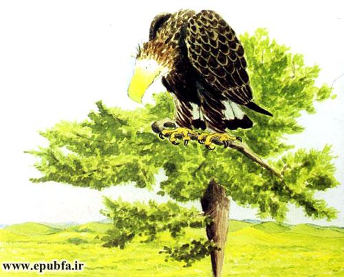 داستان آموزنده کودکان: رگال، عقابی که از بلندی می‌ترسید! 16