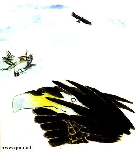 داستان آموزنده کودکان: رگال، عقابی که از بلندی می‌ترسید! 17