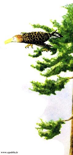 داستان آموزنده کودکان: رگال، عقابی که از بلندی می‌ترسید! 18