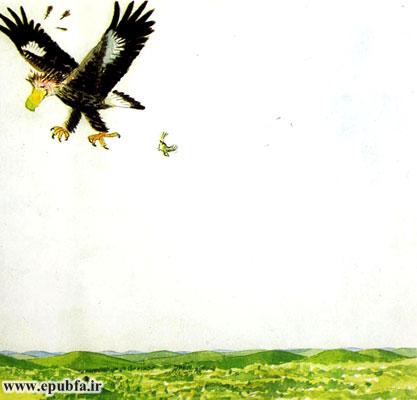 داستان آموزنده کودکان: رگال، عقابی که از بلندی می‌ترسید! 23