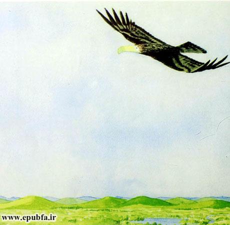 داستان آموزنده کودکان: رگال، عقابی که از بلندی می‌ترسید! 24