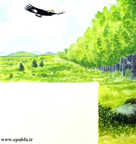 داستان آموزنده کودکان: رگال، عقابی که از بلندی می‌ترسید! 25