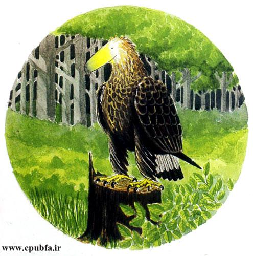 داستان آموزنده کودکان: رگال، عقابی که از بلندی می‌ترسید! 3
