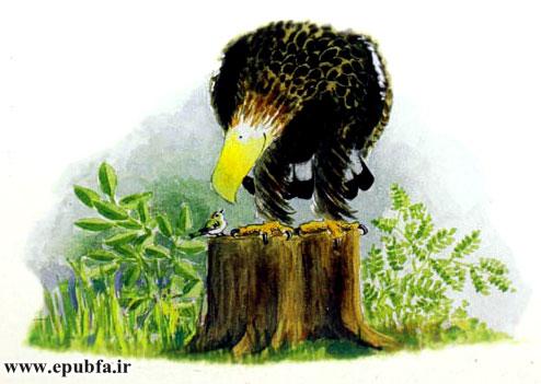 داستان آموزنده کودکان: رگال، عقابی که از بلندی می‌ترسید! 7