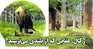 کتاب داستان آموزنده کودکان رگال، عقابی که از بلندی می‌ترسید! (27)