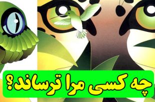 داستان کودکانه: چه کسی مرا ترساند؟ || در جستجوی شگفتی‌ها باش! 2