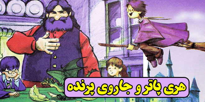 کتاب قصه کودکانه فانتزی هری پاتر و جاروی پرنده کادر