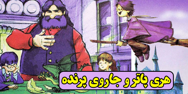 کتاب قصه کودکانه فانتزی هری پاتر و جاروی پرنده کادر