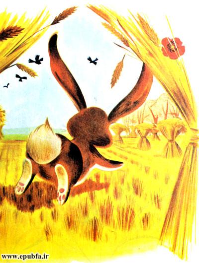 قصه کودکانه: خرگوش بازیگوش || در تابستان به فکر زمستان باش! 12