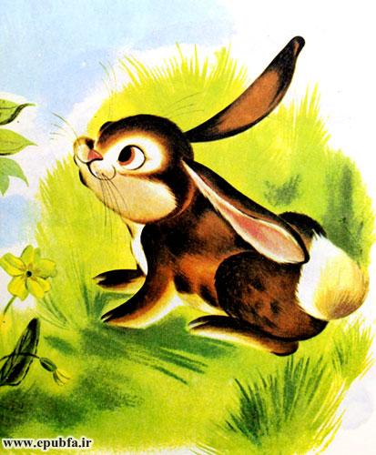 قصه کودکانه: خرگوش بازیگوش || در تابستان به فکر زمستان باش! 7