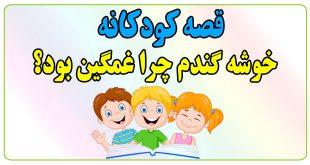 قصه-کودکانه-خوشه-گندم-چرا-غمگین-بود؟