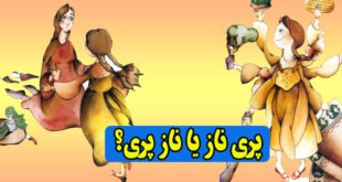 کتاب داستان کودکانه پری ناز یا ناز پری؟ (13)