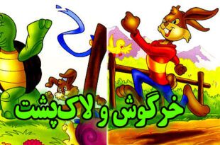 قصه کودکانه تصویری خرگوش و لاک‌پشت (5)