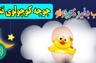 قصه-صوتی-کودکانه-جوجه-کوچولوی-تنبل-کاور