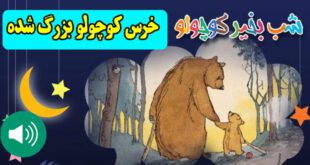 قصه-صوتی-کودکانه-خرس-کوچولو-بزرگ-شده-کاور