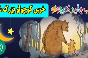 قصه-صوتی-کودکانه-خرس-کوچولو-بزرگ-شده-کاور