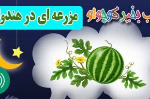 قصه-صوتی-کودکانه-مزرعه-ای-در-هندوانه-کاور