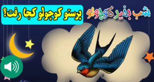 قصه-صوتی-کودکانه-پرستو-کوچولو-کجا-رفت؟-کاور