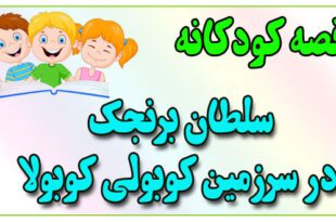 قصه-کودکانه-برای-بچه-های-کوچک-ایپابفا-سلطان-برنجک-در-سرزمین-کوبولی-کوبولا