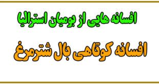 افسانه-استرالیاافسانه-کوتاهی-بال-شترمرغ
