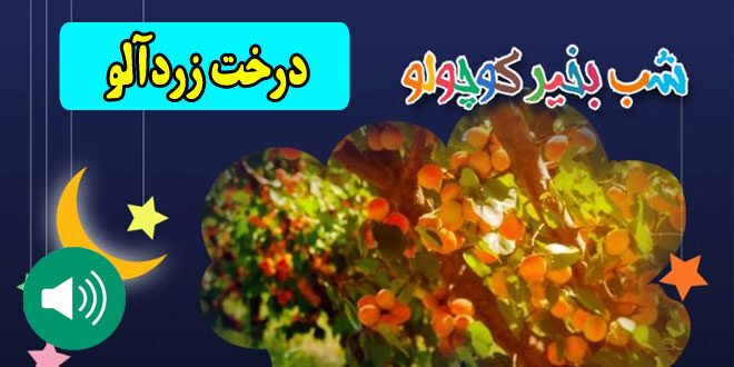 قصه-صوتی-کودکانه--درخت-زردآلو--مریم-نشیبا