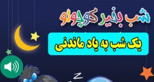 قصه-صوتی-کودکانه-یک-شب-به-یاد-ماندنی660