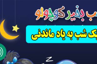 قصه-صوتی-کودکانه-یک-شب-به-یاد-ماندنی660