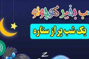 قصه-صوتی-کودکانه-یک-شب-پر-از-ستاره660