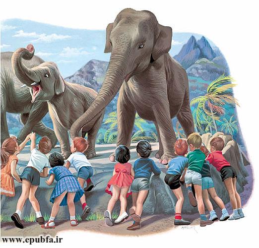 در این باغ‌وحش سه فیل هم هست که هر سه‌ی آن‌ها را از آفریقا آورده‌اند.