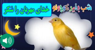 قصه-صوتی-کودکانه-مریم-نشیبا-خدای-مهربان-را-شکر-ایپابفا