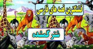 قشنگترین-قصه-های-فارسی-برای-کودکان-شتر-گمشده