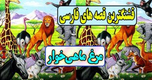 قصه های قشنگ فارسی: مرغ ماهی‌خوار / سرانجام دروغ و حیله گری 12