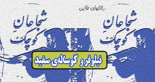 داستان آموزنده: نیلوفر و گوساله‌ ی سفید / دختر باهوشی که کشورش را نجات داد 1