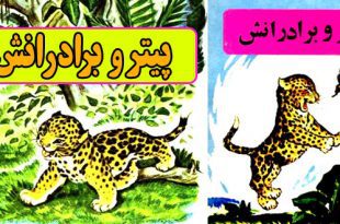 داستان مصور کودکانه: پیتر و برادرانش / بچه پلنگ های شاد 2