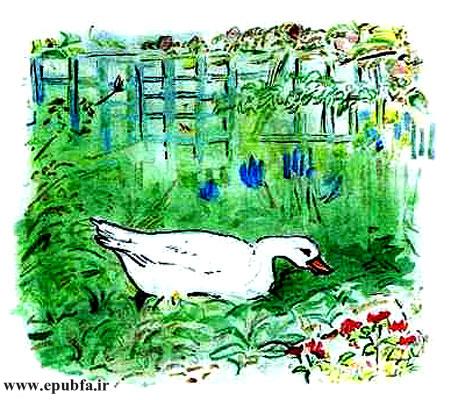 کتاب قصه کودکانه قدیمی: سرگذشت پرسفید / اردک ساده‌لوح در دام روباه حیله‌گر 12