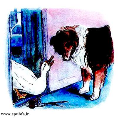 کتاب قصه کودکانه قدیمی: سرگذشت پرسفید / اردک ساده‌لوح در دام روباه حیله‌گر 13