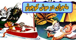 کتاب قصه کودکانه قدیمی: ماجرای دو موش کوچولو / داستان تام و جری 14