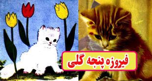 کتاب قصه کودکانه قدیمی فیروزه پنجه گلی گربه شیطون (13)