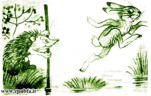 خرگوش با یک پرش از روی نهر پرید 