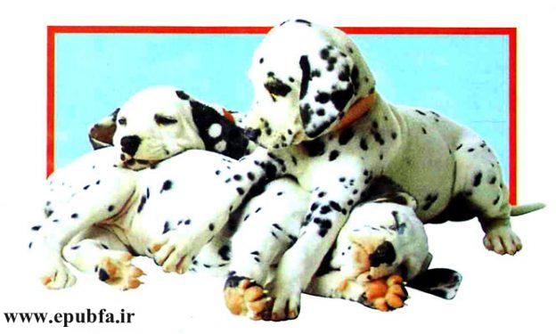 توله سگ های خالدار