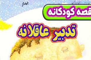 قصه-کودکانه-شب-تدبیر-عاقلانه