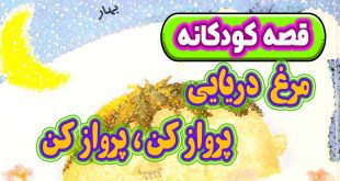 قصه کودکانه پیش از خواب: مرغ دریایی پرواز کن، پرواز کن 18