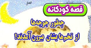 قصه کودکانه پیش از خواب: چطور جوجه‌ها از تخم‌هایشان بیرون آمدند؟ 5