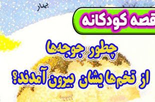 قصه کودکانه پیش از خواب: چطور جوجه‌ها از تخم‌هایشان بیرون آمدند؟ 3