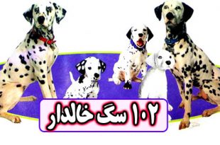 کتاب قصه کودکانه: 102 سگ خالدار / با حیوانات مهربان باشیم 1